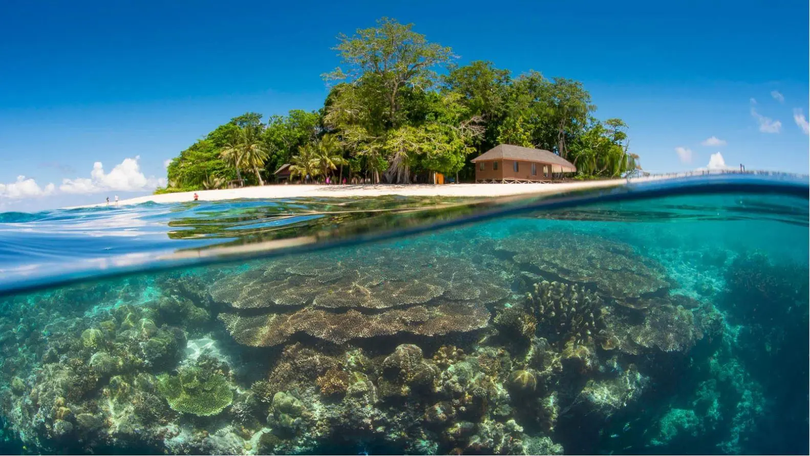 Sipadan Diving Spot